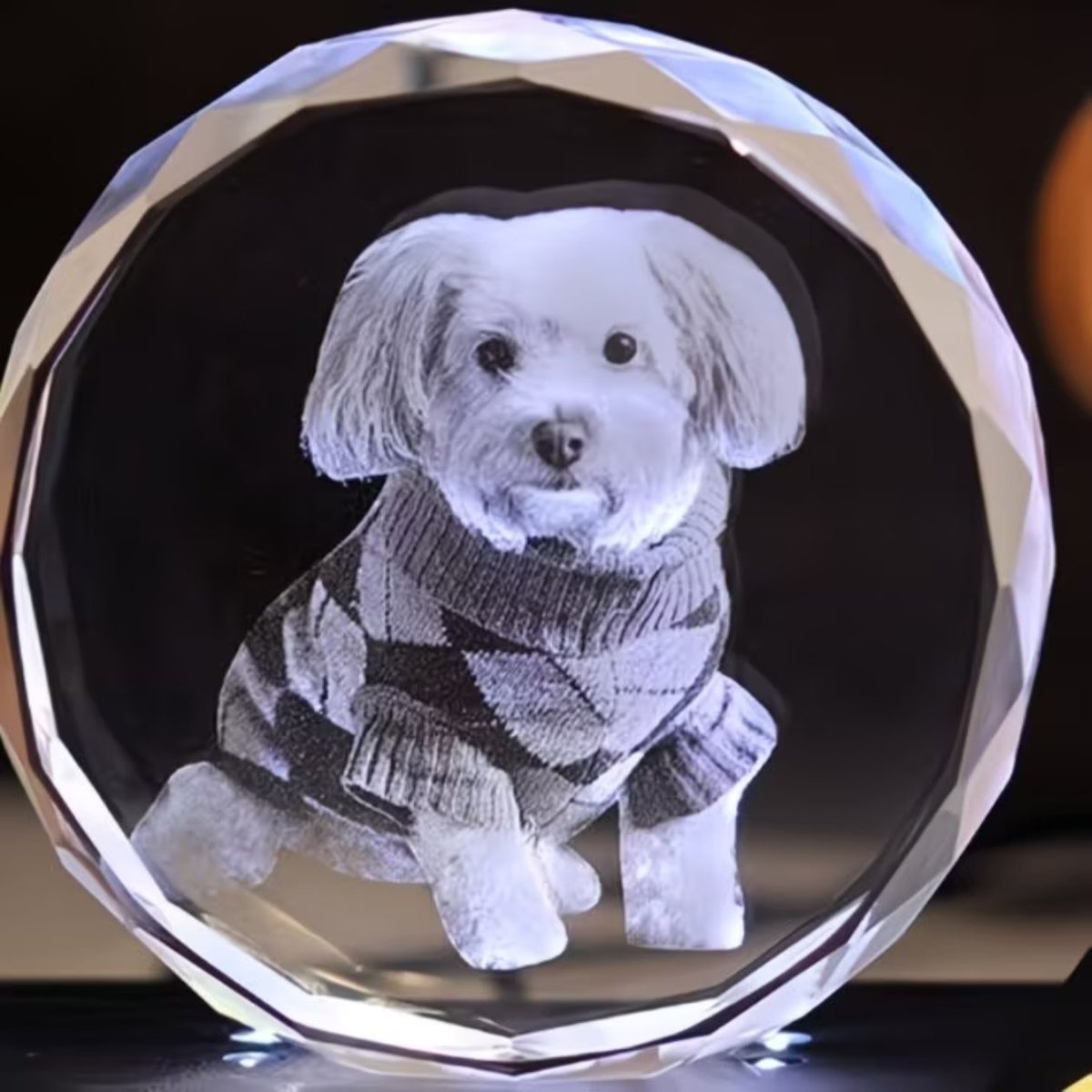 Faceted crystal ball with a dog photo engraved inside